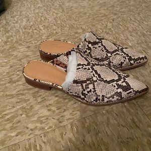 Snakeskin mules